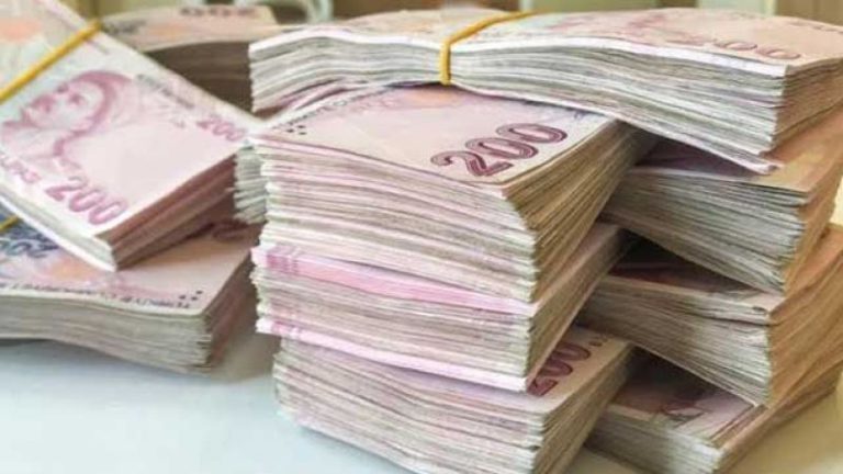 Her Haneye Destek Veriliyor! E-Devletten Hemen Nakit Para Yardımı Alabilirsiniz