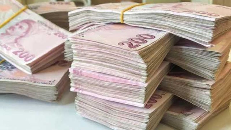 Her Haneye Destek Veriliyor! E-Devletten Hemen Nakit Para Yardımı Alabilirsiniz