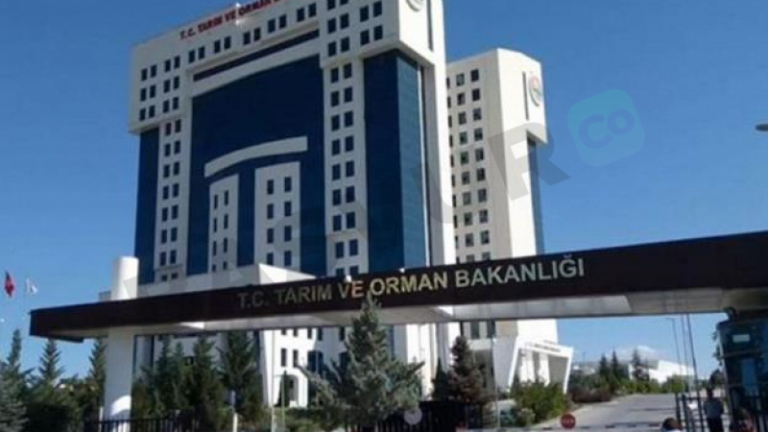 KPSS Derdi Yok! Orman Bakanlığı 1000 Personel Alımı Yapacak! İşte Başvuru Şartları