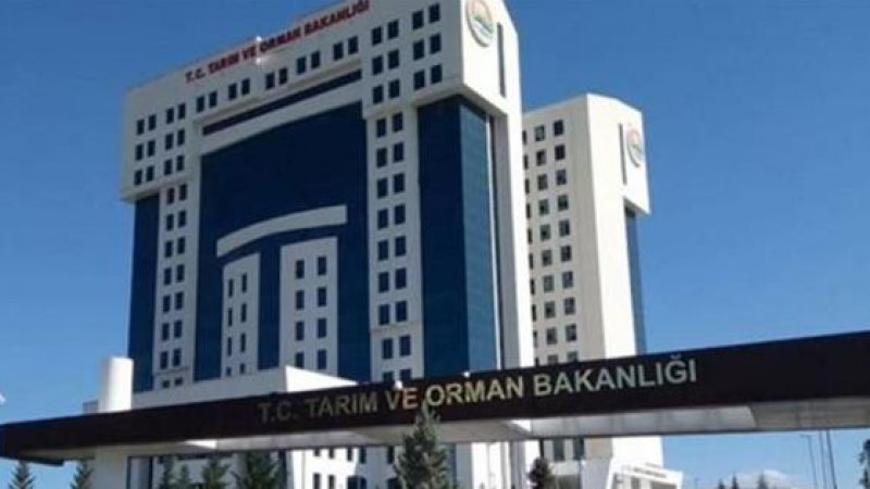 Orman Bakanlığı Lise Mezunu Teknisyen Alımı Yapacak! Başvuru Şartları!