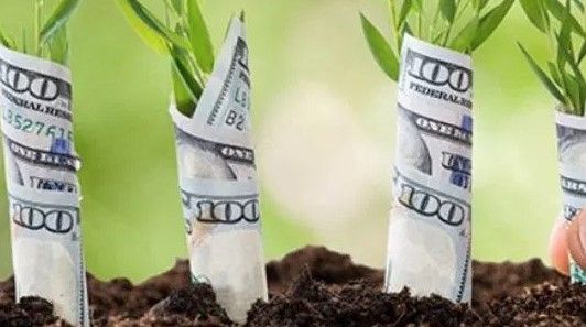 Patlayacak İş Fikirleri – 2024’de Sizi Zengin Edecek Fikirler!