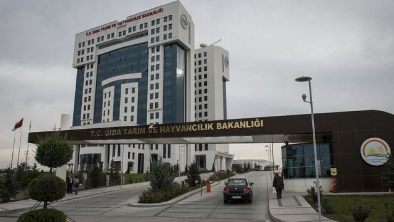 Tarım Bakanlığı OGM ve DSİ 2024 Yılı 7158 Personel Alımı Yapacak