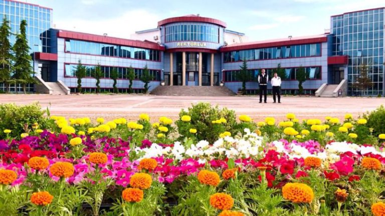 Van Yüzüncü Yıl Üniversitesi 196 Personel Alımı Yapacak