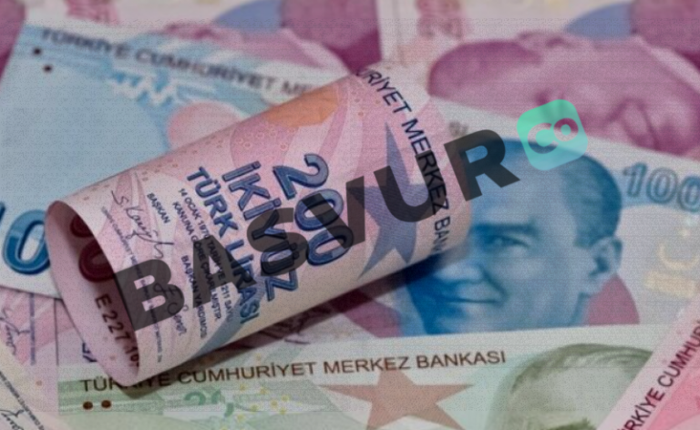 Vatandaşlık Maaşı Nasıl Alınır? Başvuru Şartları 2023