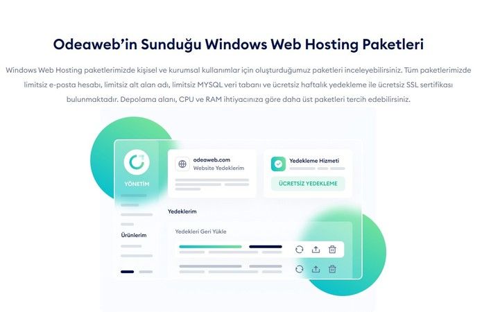 Windows Web Hosting Nedir?
