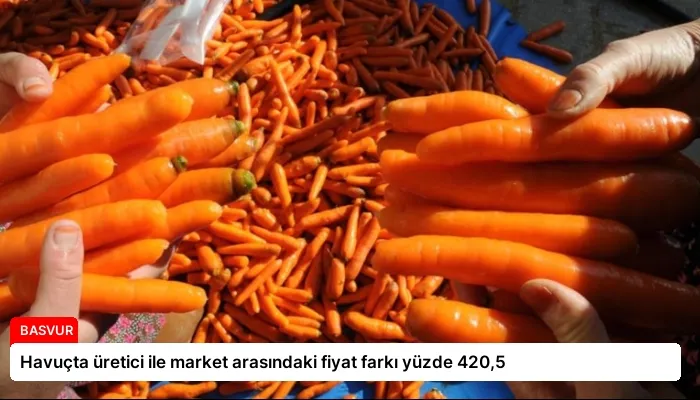 Havuçta üretici ile market arasındaki fiyat farkı yüzde 420,5