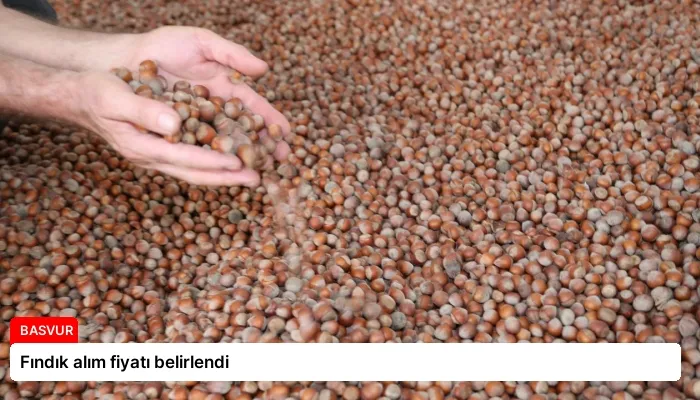 Fındık alım fiyatı belirlendi