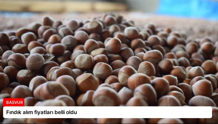 Fındık alım fiyatları belli oldu