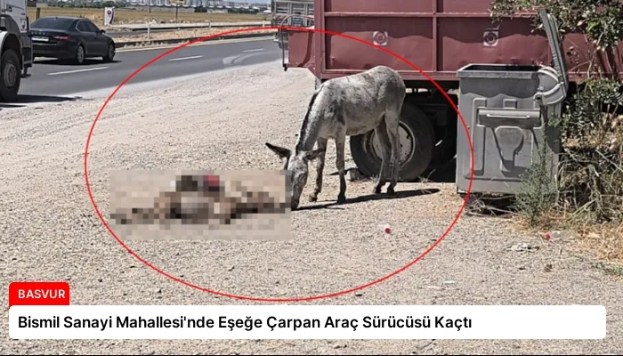Bismil Sanayi Mahallesi’nde Eşeğe Çarpan Araç Sürücüsü Kaçtı