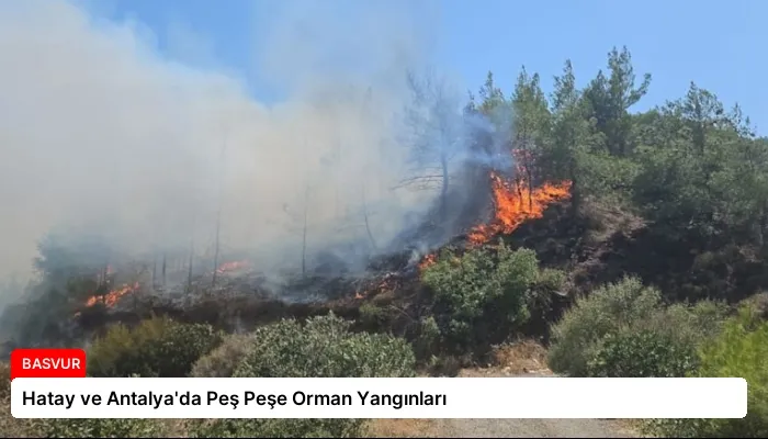 Hatay ve Antalya’da Peş Peşe Orman Yangınları