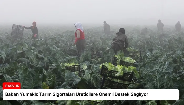 Bakan Yumaklı: Tarım Sigortaları Üreticilere Önemli Destek Sağlıyor