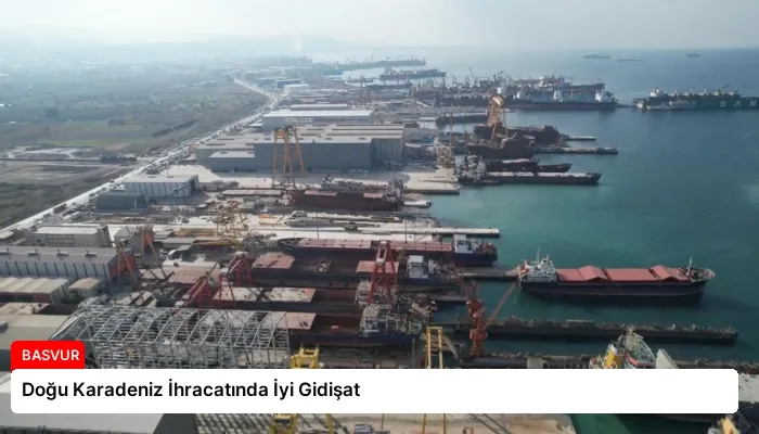 Doğu Karadeniz İhracatında İyi Gidişat