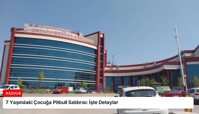 7 Yaşındaki Çocuğa Pitbull Saldırısı: İşte Detaylar