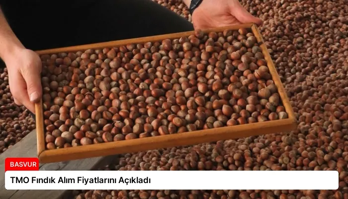 TMO Fındık Alım Fiyatlarını Açıkladı