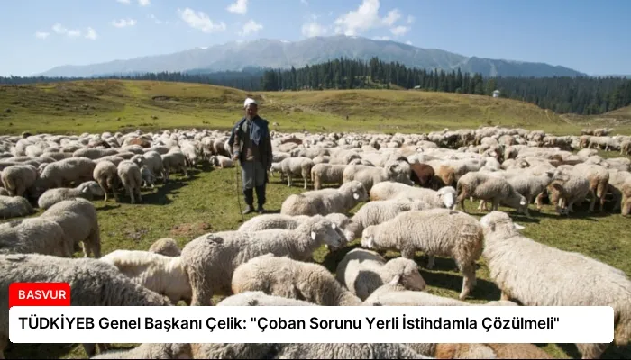 TÜDKİYEB Genel Başkanı Çelik: “Çoban Sorunu Yerli İstihdamla Çözülmeli”