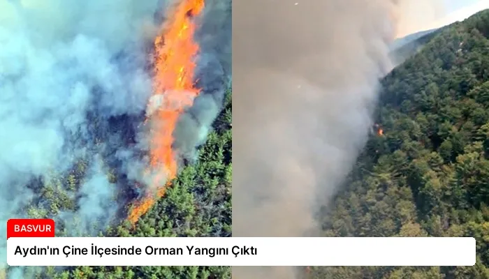 Aydın’ın Çine İlçesinde Orman Yangını Çıktı