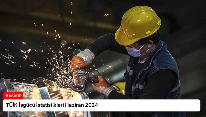 TÜİK İşgücü İstatistikleri Haziran 2024