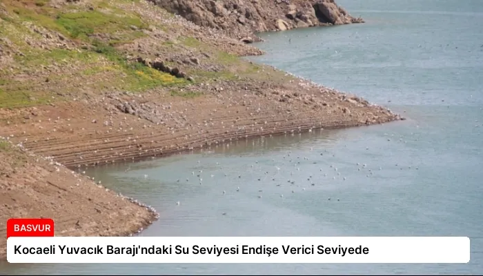 Kocaeli Yuvacık Barajı’ndaki Su Seviyesi Endişe Verici Seviyede
