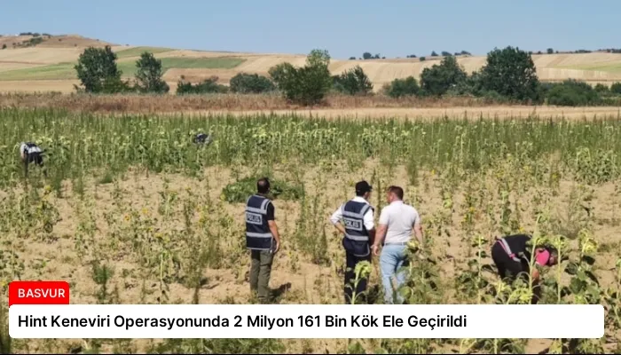 Hint Keneviri Operasyonunda 2 Milyon 161 Bin Kök Ele Geçirildi