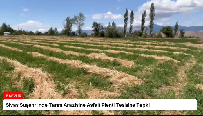 Sivas Suşehri’nde Tarım Arazisine Asfalt Plenti Tesisine Tepki