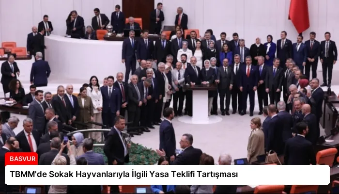 TBMM’de Sokak Hayvanlarıyla İlgili Yasa Teklifi Tartışması