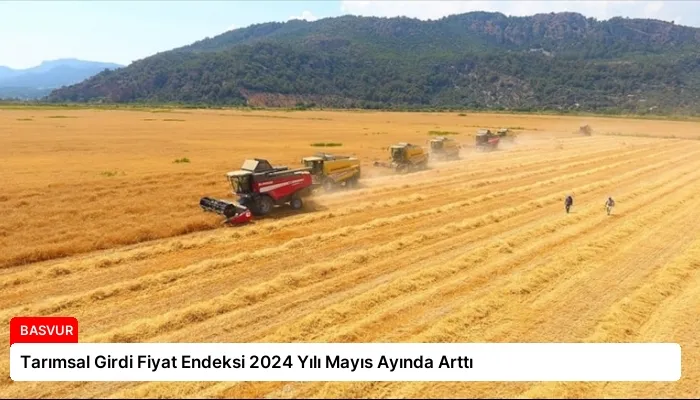 Tarımsal Girdi Fiyat Endeksi 2024 Yılı Mayıs Ayında Arttı