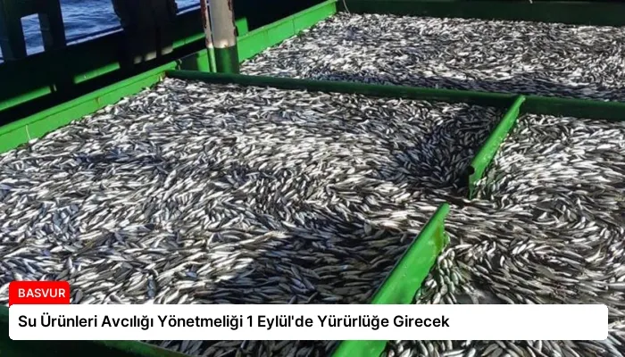 Su Ürünleri Avcılığı Yönetmeliği 1 Eylül’de Yürürlüğe Girecek