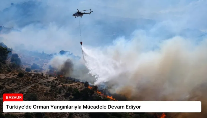 Türkiye’de Orman Yangınlarıyla Mücadele Devam Ediyor