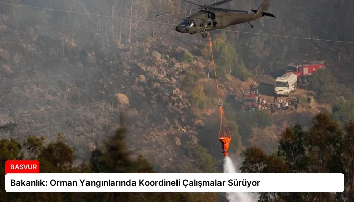 Bakanlık: Orman Yangınlarında Koordineli Çalışmalar Sürüyor