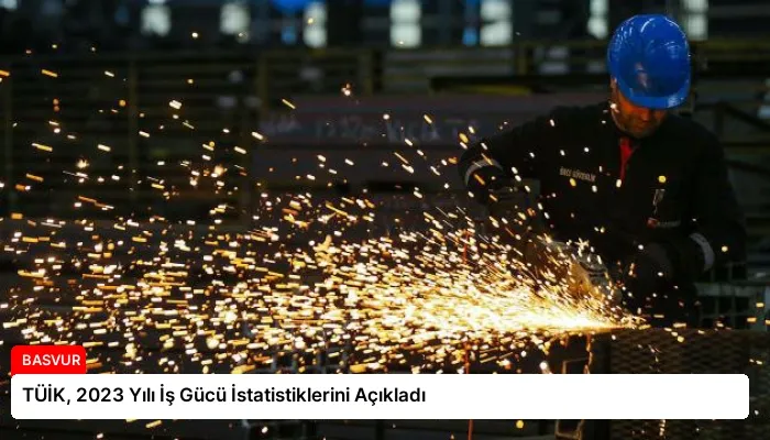TÜİK, 2023 Yılı İş Gücü İstatistiklerini Açıkladı
