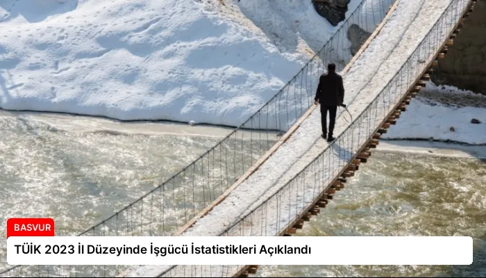 TÜİK 2023 İl Düzeyinde İşgücü İstatistikleri Açıklandı