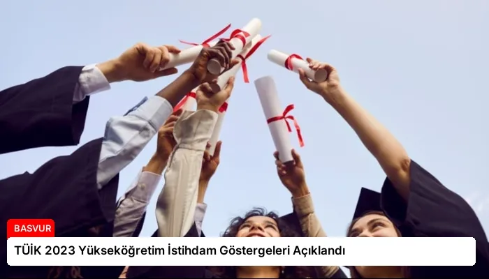 TÜİK 2023 Yükseköğretim İstihdam Göstergeleri Açıklandı
