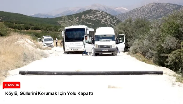 Köylü, Güllerini Korumak İçin Yolu Kapattı