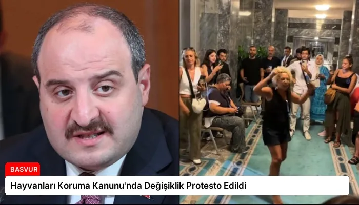 Hayvanları Koruma Kanunu’nda Değişiklik Protesto Edildi