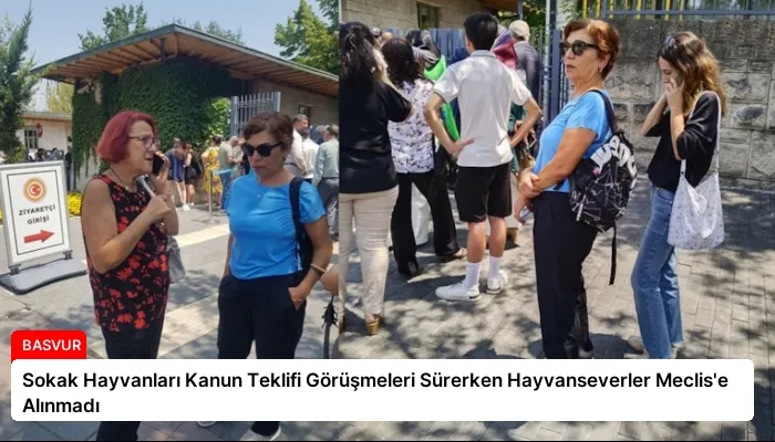 Sokak Hayvanları Kanun Teklifi Görüşmeleri Sürerken Hayvanseverler Meclis’e Alınmadı