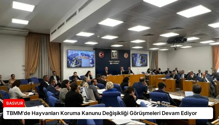 TBMM’de Hayvanları Koruma Kanunu Değişikliği Görüşmeleri Devam Ediyor