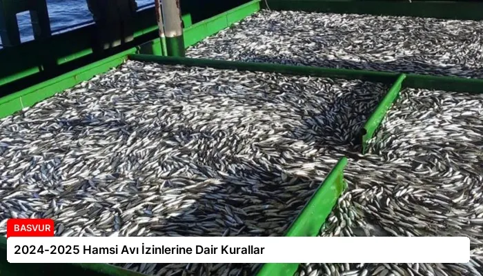 2024-2025 Hamsi Avı İzinlerine Dair Kurallar
