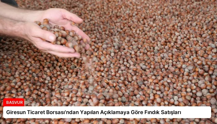 Giresun Ticaret Borsası’ndan Yapılan Açıklamaya Göre Fındık Satışları