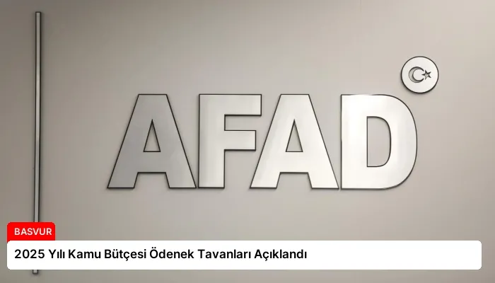 2025 Yılı Kamu Bütçesi Ödenek Tavanları Açıklandı