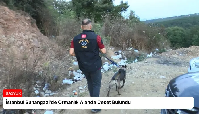İstanbul Sultangazi’de Ormanlık Alanda Ceset Bulundu