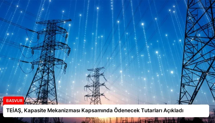 TEİAŞ, Kapasite Mekanizması Kapsamında Ödenecek Tutarları Açıkladı