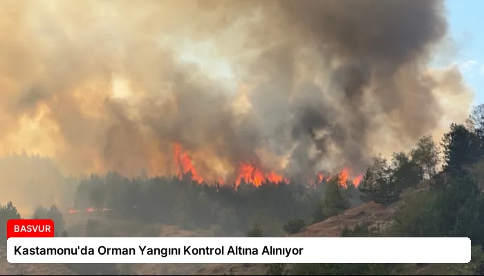 Kastamonu’da Orman Yangını Kontrol Altına Alınıyor