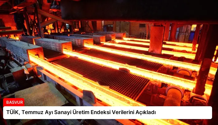 TÜİK, Temmuz Ayı Sanayi Üretim Endeksi Verilerini Açıkladı