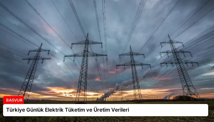 Türkiye Günlük Elektrik Tüketim ve Üretim Verileri