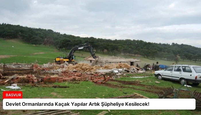 Devlet Ormanlarında Kaçak Yapılar Artık Şüpheliye Kesilecek!