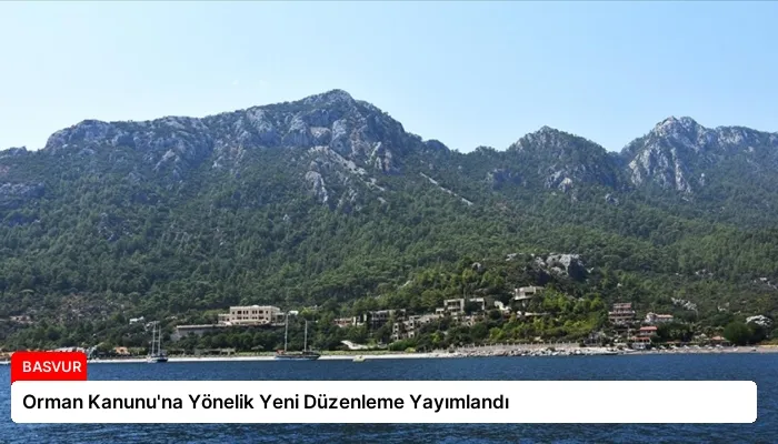 Orman Kanunu’na Yönelik Yeni Düzenleme Yayımlandı