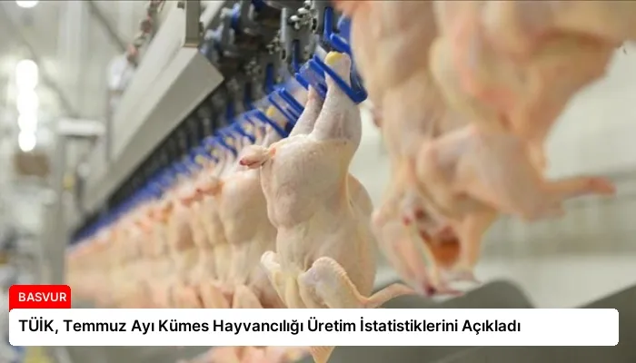 TÜİK, Temmuz Ayı Kümes Hayvancılığı Üretim İstatistiklerini Açıkladı