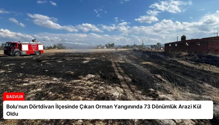 Bolu’nun Dörtdivan İlçesinde Çıkan Orman Yangınında 73 Dönümlük Arazi Kül Oldu