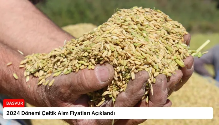 2024 Dönemi Çeltik Alım Fiyatları Açıklandı