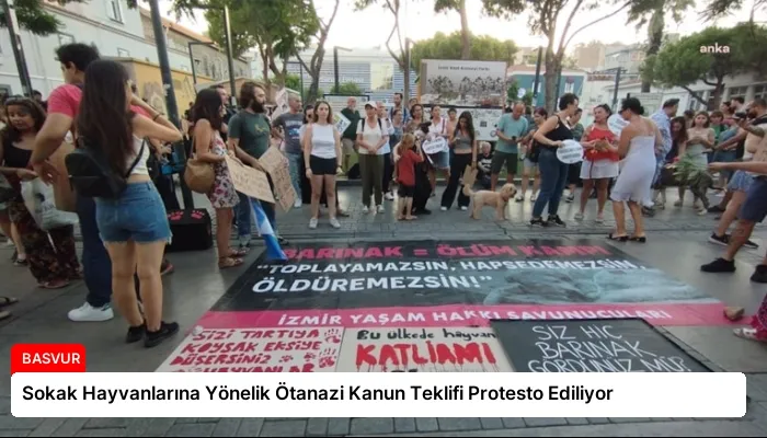 Sokak Hayvanlarına Yönelik Ötanazi Kanun Teklifi Protesto Ediliyor